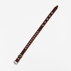 Ошейник украшенный, 45×2 см, ОШ 25-35 см, на синтепоне, кожа, коричневый - Фото 4