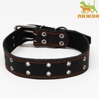 Ошейник кожаный на синтепоне, безразмерный, 83×4.5 см, ОШ 20-71 см, чёрный - Фото 2