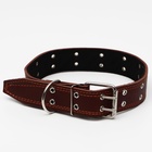 Ошейник кожаный на синтепоне, безразмерный, 83×4.5 см, ОШ 20-71 см, коричневый - Фото 3