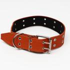 Ошейник кожаный на синтепоне, безразмерный, 83×4.5 см, ОШ 20-71 см, оранжевый - Фото 2