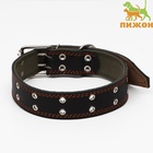 Ошейник комбинированный кожа/брезент, безразмерный, 83×4.5 см, ОШ 20-70 см, чёрный - Фото 2