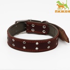 Ошейник комбинированный кожа/брезент, безразмерный, 83×4.5 см, ОШ 20-70 см, коричневый - Фото 2