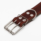 Ошейник комбинированный кожа/брезент, безразмерный, 83×4.5 см, ОШ 20-70 см, коричневый - Фото 5