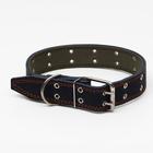 Ошейник комбинированный кожа/брезент, безразмерный, 83×4.5 см, ОШ 20-70 см, синий - Фото 2