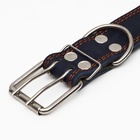 Ошейник комбинированный кожа/брезент, безразмерный, 83×4.5 см, ОШ 20-70 см, синий - Фото 5