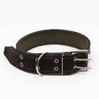 Ошейник комбинированный кожа/брезент, 83×4.5 см, ОШ 50-70 см, чёрный - Фото 3