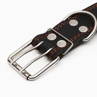 Ошейник комбинированный кожа/брезент, 83×4.5 см, ОШ 50-70 см, чёрный - Фото 5