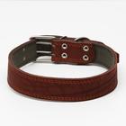 Ошейник комбинированный кожа/брезент, 83 х 4.5 см, ОШ 50-70 см, коричневый - Фото 1