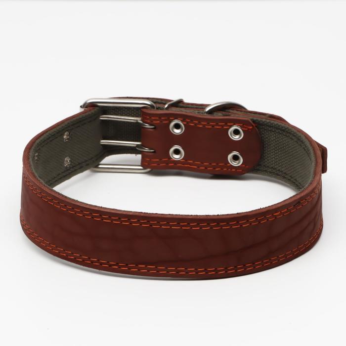Ошейник комбинированный кожа/брезент, 83 х 4.5 см, ОШ 50-70 см, коричневый - Фото 1