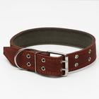 Ошейник комбинированный кожа/брезент, 83 х 4.5 см, ОШ 50-70 см, коричневый - Фото 2