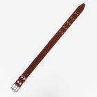 Ошейник комбинированный кожа/брезент, 83 х 4.5 см, ОШ 50-70 см, коричневый - Фото 3