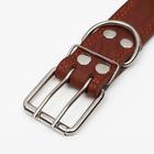 Ошейник комбинированный кожа/брезент, 83 х 4.5 см, ОШ 50-70 см, коричневый - Фото 4