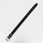 Ошейник кожаный на синтепоне, 82×4.5 см, ОШ 50-70 см, чёрный - Фото 4