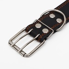 Ошейник кожаный на синтепоне, 82×4.5 см, ОШ 50-70 см, чёрный - Фото 5