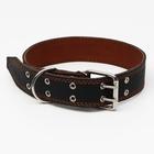Ошейник кожаный двухслойный, 85×4.5 см, ОШ 50-70 см, чёрный - Фото 2