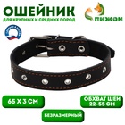 Ошейник кожаный на синтепоне, безразмерный, 65×3 см, ОШ 22-55 см, чёрный - Фото 1