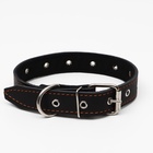 Ошейник кожаный на синтепоне, безразмерный, 65×3 см, ОШ 22-55 см, чёрный - Фото 3