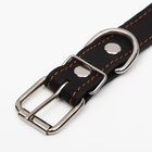 Ошейник кожаный на синтепоне, безразмерный, 65×3 см, ОШ 22-55 см, чёрный - Фото 5