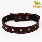 Ошейник кожаный на синтепоне, безразмерный, 65×3 см, ОШ 22-55 см, коричневый - Фото 2
