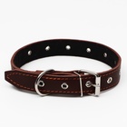 Ошейник кожаный на синтепоне, безразмерный, 65×3 см, ОШ 22-55 см, коричневый - Фото 3