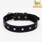 Ошейник кожаный на синтепоне, безразмерный, 65×3 см, ОШ 22-55 см, синий - Фото 2