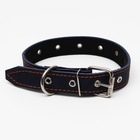 Ошейник кожаный на синтепоне, безразмерный, 65×3 см, ОШ 22-55 см, синий - Фото 3