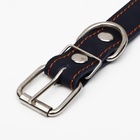 Ошейник кожаный на синтепоне, безразмерный, 65×3 см, ОШ 22-55 см, синий - Фото 5