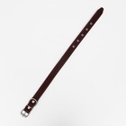 Ошейник кожаный на синтепоне, 65×3 см, ОШ 40-55 см, коричневый - Фото 4