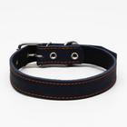 Ошейник кожаный на синтепоне, 65 х 3 см, ОШ 40-55 см, синий - Фото 1