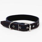 Ошейник кожаный на синтепоне, 65 х 3 см, ОШ 40-55 см, синий - Фото 2
