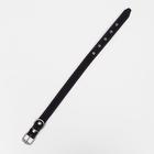 Ошейник кожаный на синтепоне, 65 х 3 см, ОШ 40-55 см, синий - Фото 3