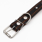 Ошейник кожаный «Строгий шип», 65×3 см, ОШ 40-55 см, чёрный - Фото 5