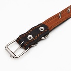 Ошейник кожаный «Строгий шип», 65×3 см, ОШ 40-55 см, чёрный - Фото 6