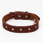 Ошейник кожаный "Строгий шип", 65 х 3 см, ОШ 40-55 см, коричневый - Фото 1