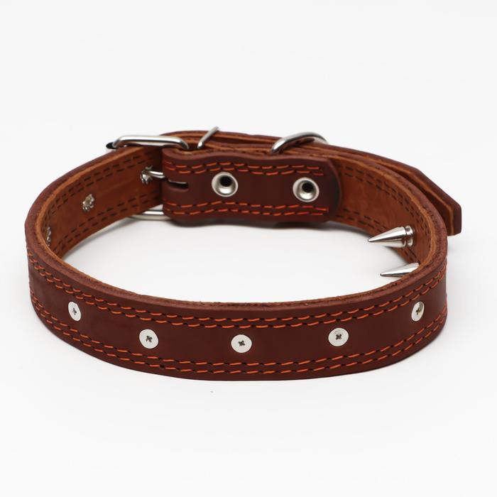 Ошейник кожаный "Строгий шип", 65 х 3 см, ОШ 40-55 см, коричневый - Фото 1