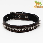 Ошейник кожаный на синтепоне «Ёж», 64×3 см, ОШ 40-55 см, чёрный - Фото 2