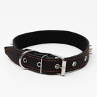 Ошейник кожаный на синтепоне «Ёж», 64×3 см, ОШ 40-55 см, чёрный - Фото 3