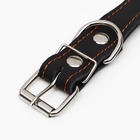 Ошейник кожаный на синтепоне «Ёж», 64×3 см, ОШ 40-55 см, чёрный - Фото 5