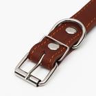 Ошейник кожаный на синтепоне "Ёж", 64 х 3 см, ОШ 40-55 см, коричневый - Фото 4