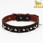 Ошейник кожаный двухслойный шипованный, 63×3 см, ОШ 40-55 см, чёрный - Фото 2