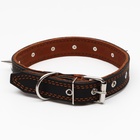 Ошейник кожаный двухслойный шипованный, 63×3 см, ОШ 40-55 см, чёрный - Фото 3