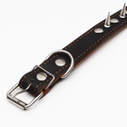 Ошейник кожаный двухслойный шипованный, 63×3 см, ОШ 40-55 см, чёрный - Фото 5