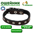 Ошейник кожаный на синтепоне, безразмерный, 37 х 1.5 см, ОШ 21-31 см, чёрный - Фото 1