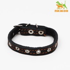 Ошейник кожаный на синтепоне, безразмерный, 37 х 1.5 см, ОШ 21-31 см, чёрный - Фото 2