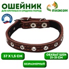 Ошейник кожаный на синтепоне, безразмерный, 37 х 1.5 см, ОШ 21-31 см, коричневый - Фото 1