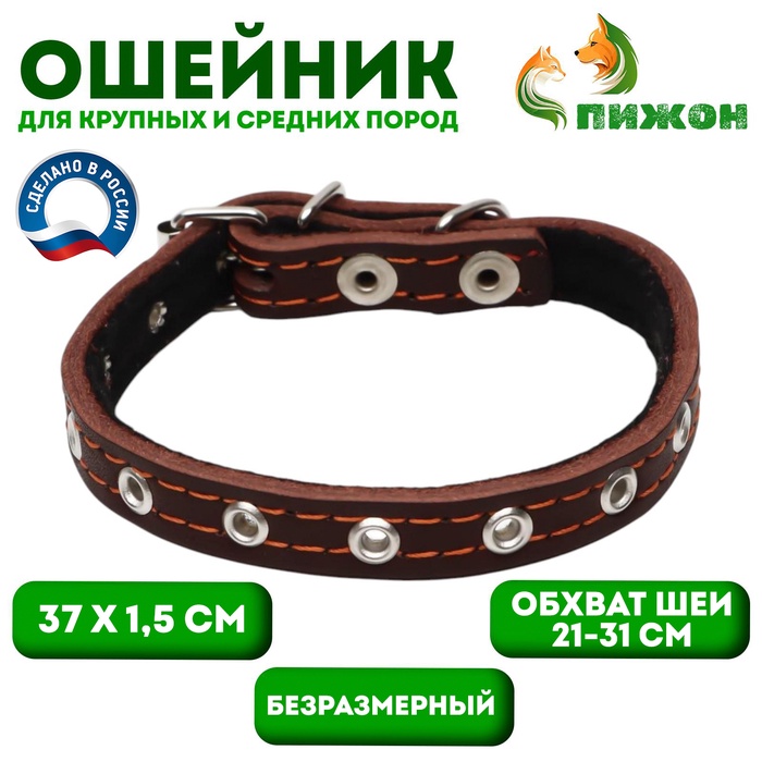 Ошейник кожаный на синтепоне, безразмерный, 37 х 1.5 см, ОШ 21-31 см, коричневый - Фото 1