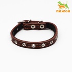 Ошейник кожаный на синтепоне, безразмерный, 37 х 1.5 см, ОШ 21-31 см, коричневый - Фото 2