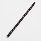 Ошейник кожаный однослойный, безразмерный, 37×1.5 см, ОШ 21-32 см, чёрный - Фото 4