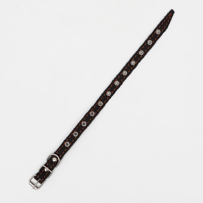 Ошейник кожаный однослойный, безразмерный, 37×1.5 см, ОШ 21-32 см, чёрный