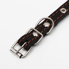 Ошейник кожаный однослойный, безразмерный, 37×1.5 см, ОШ 21-32 см, чёрный - Фото 5